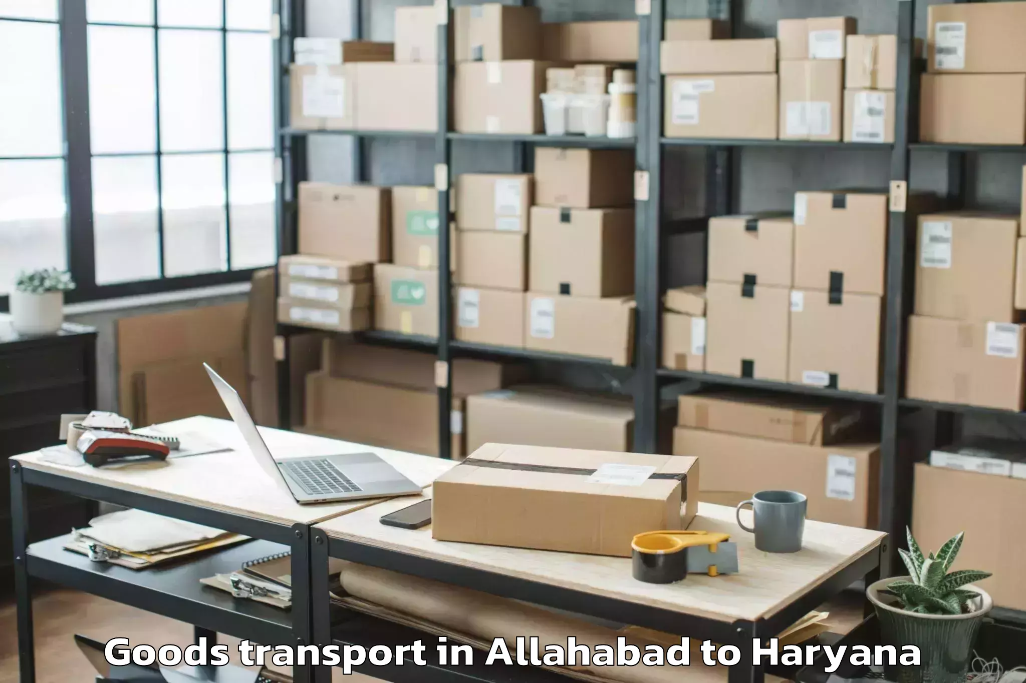 Trusted Allahabad to Pataudi Goods Transport